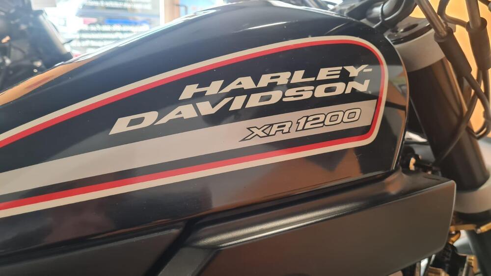 Harley-Davidson 1200 XR (2009 - 12) (2)