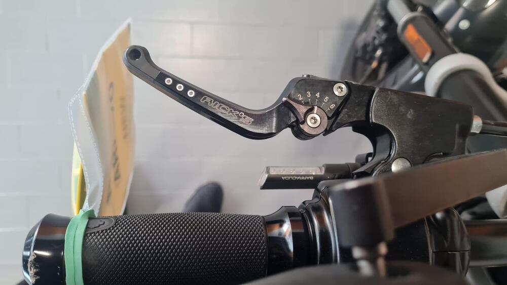 Harley-Davidson 1200 XR (2009 - 12) (13)