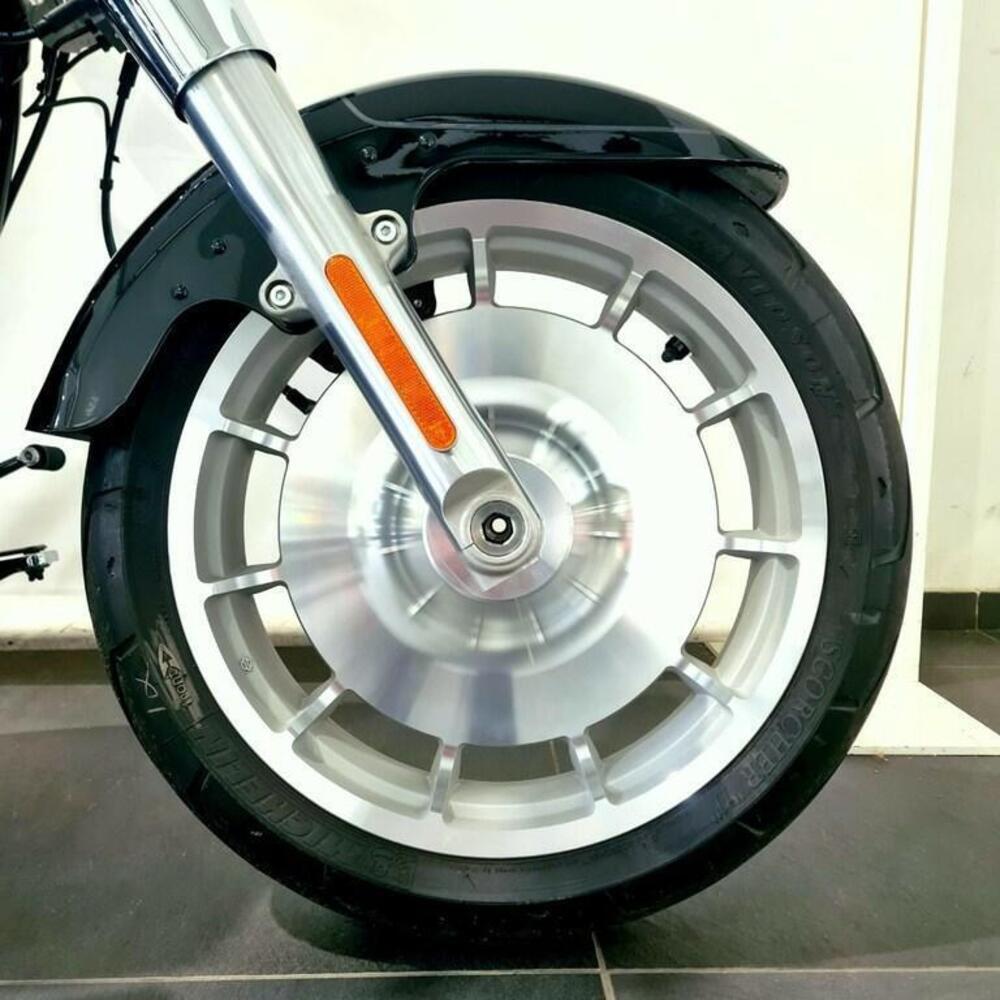 Harley-Davidson Fat Boy 117 (2025 - 26) (14)