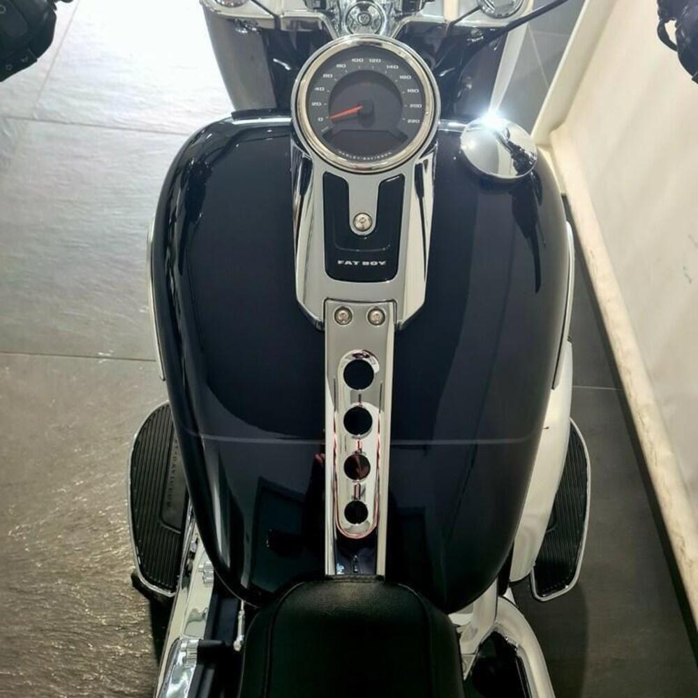 Harley-Davidson Fat Boy 117 (2025 - 26) (6)