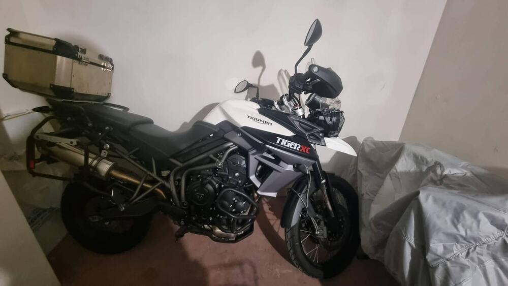 Triumph Tiger 800 XC (2015 - 17) (3)