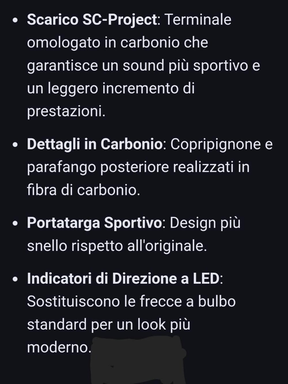 Suzuki GSX S 750 Yugen (2018 - 20) (7)