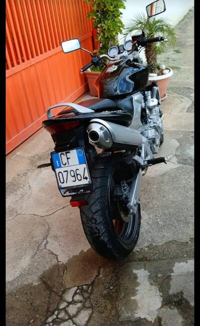 Honda CBF 600 (2004 - 06) usata