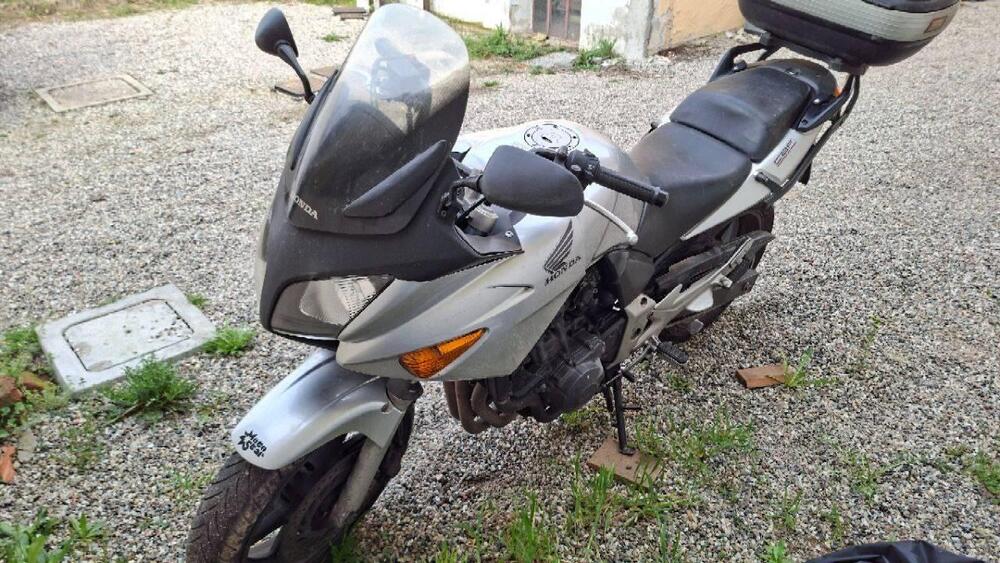 Honda CBF 600 (2004 - 06)