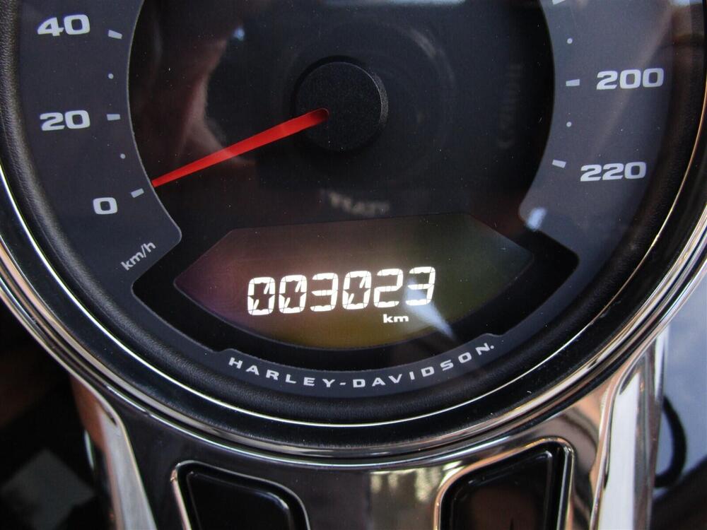 Harley-Davidson Sport Glide (2021 - 25) (9)