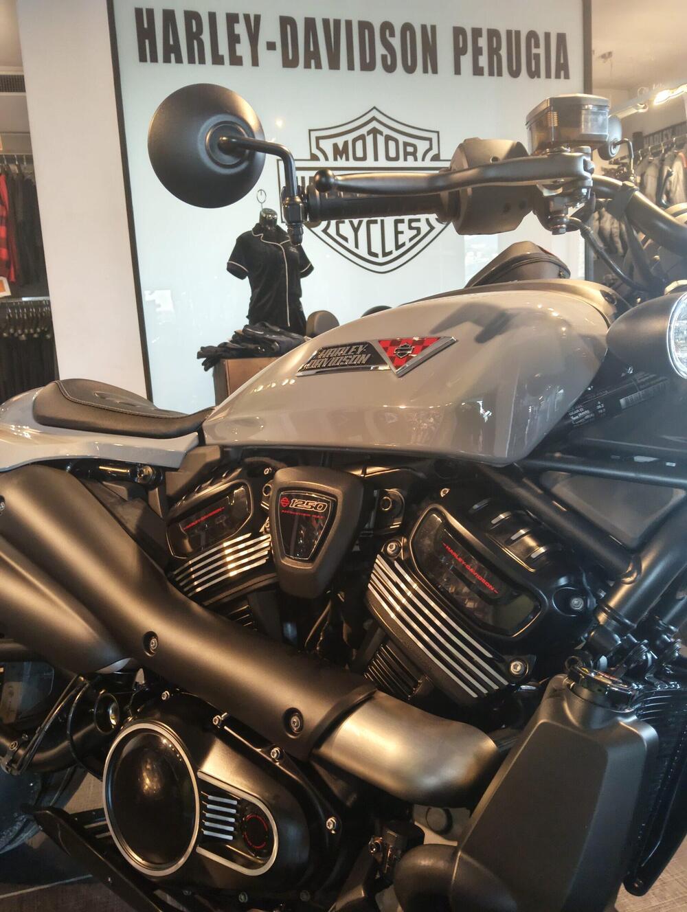 Harley-Davidson Sportster S (2025 - 26) (3)