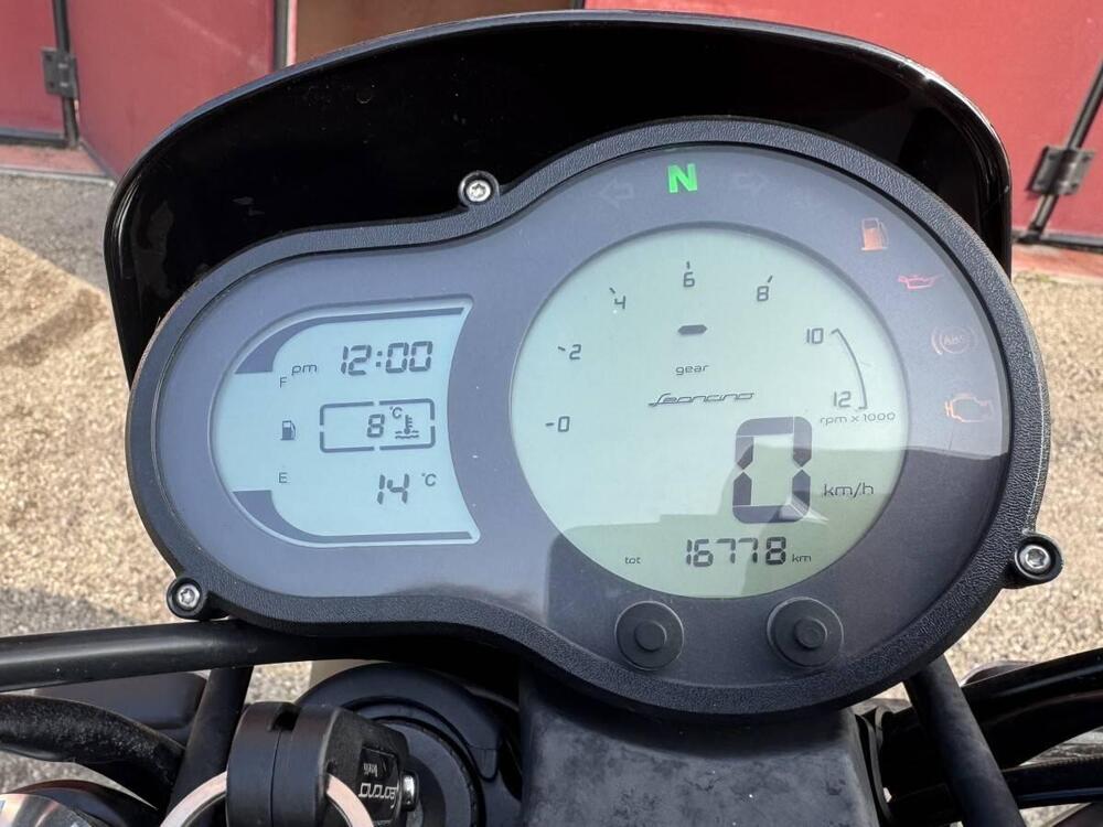 Benelli Leoncino 500 (2021 - 25) (4)