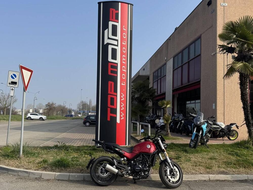 Benelli Leoncino 500 (2021 - 25) (5)