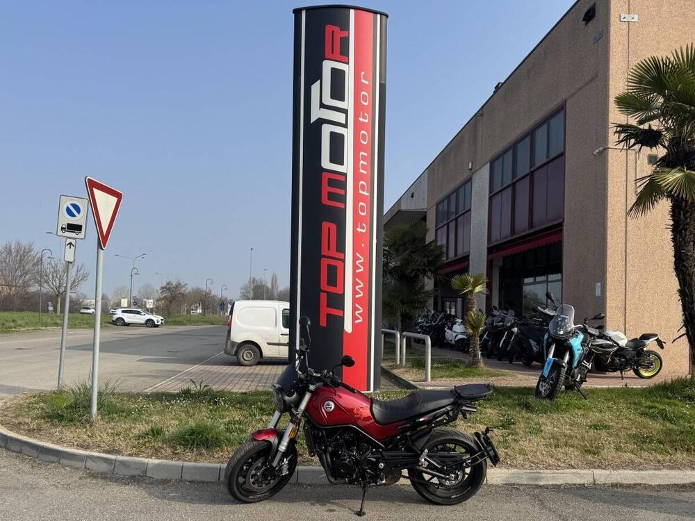 Benelli Leoncino 500 (2021 - 25) (7)