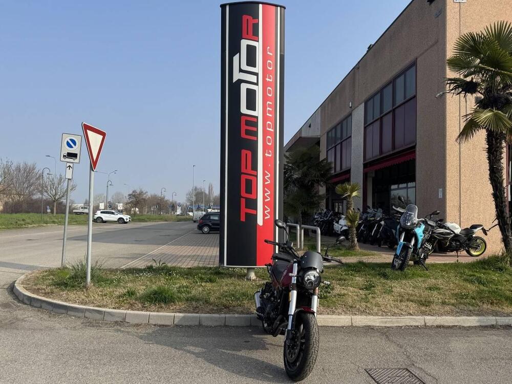 Benelli Leoncino 500 (2021 - 25) (6)