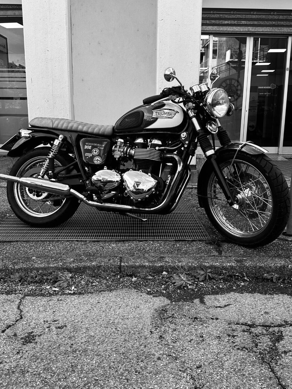 Triumph Bonneville T100 (2008 - 16) (3)