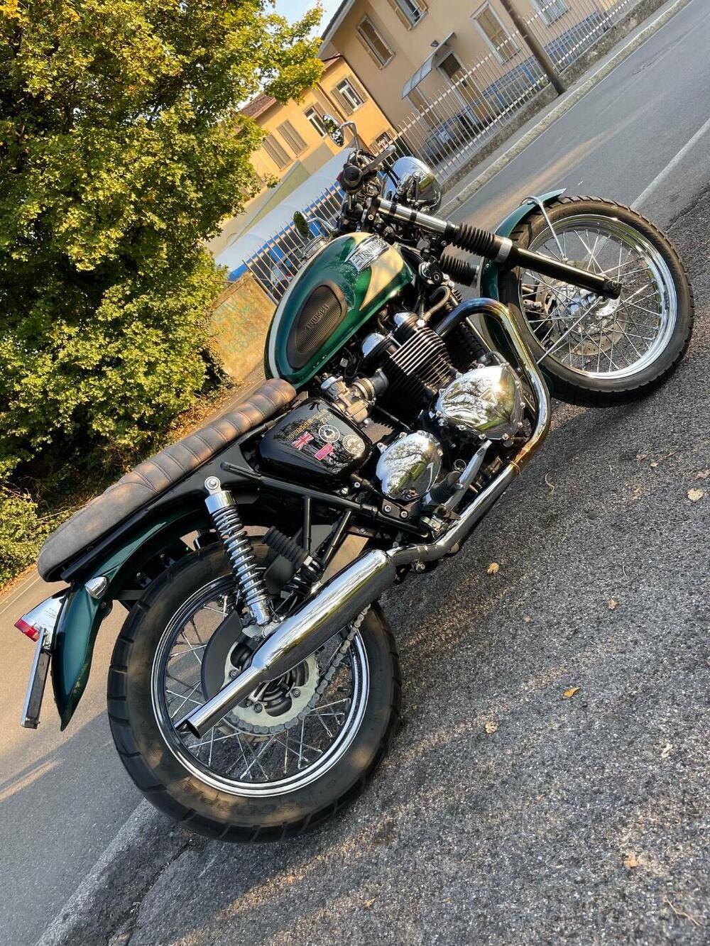 Triumph Bonneville T100 (2008 - 16) (13)