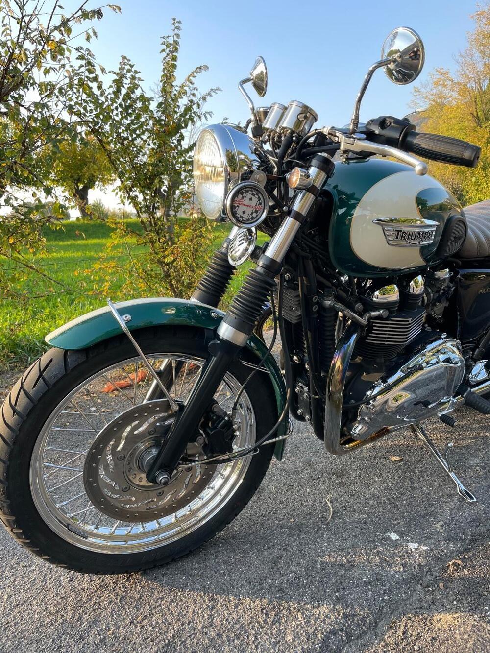 Triumph Bonneville T100 (2008 - 16) (14)