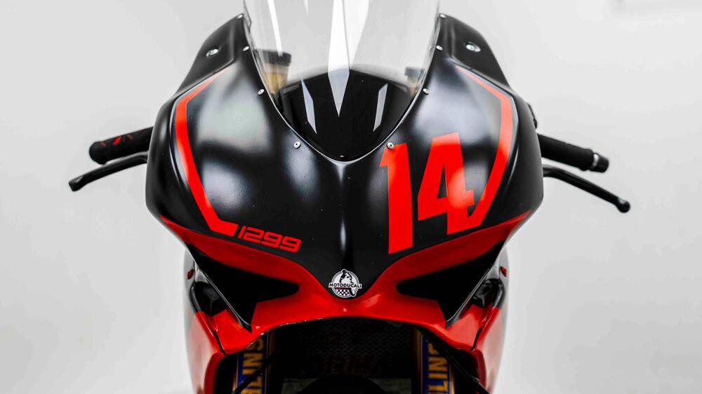 Ducati 1299 Panigale (2015 - 17) (18)