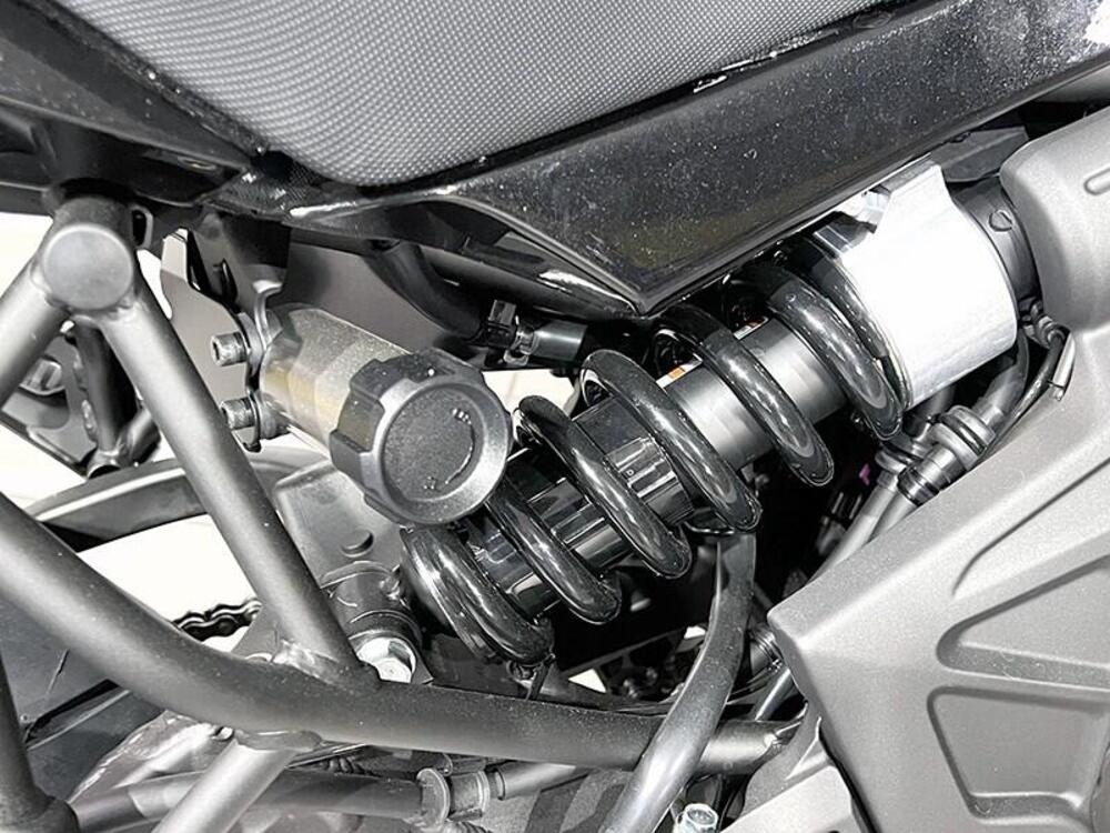 Kawasaki Versys 650 (2025 - 26) (4)