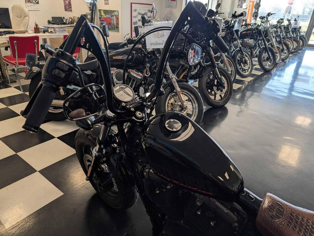 Harley-Davidson 1200 Forty-Eight (2010 - 15) (10)