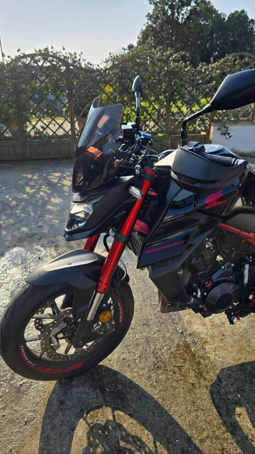 Honda CB 750 Hornet (2023 - 24) (13)