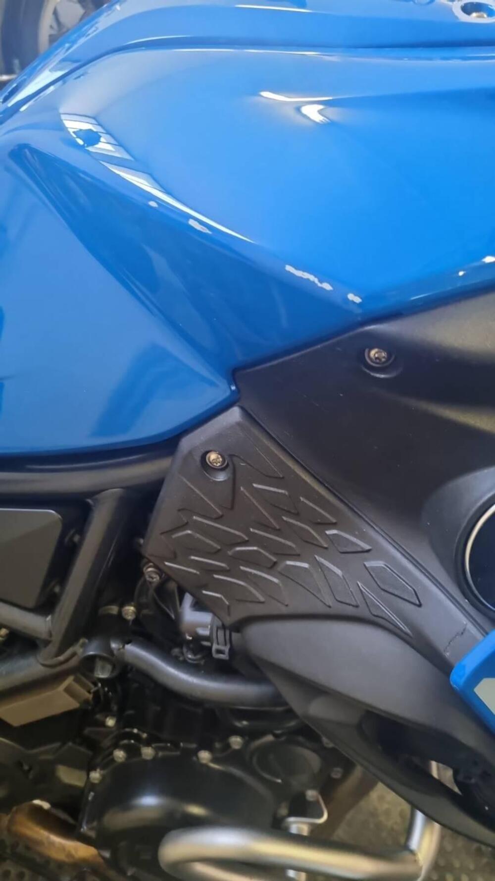 Bmw F 800 GS (2008 - 15) (8)