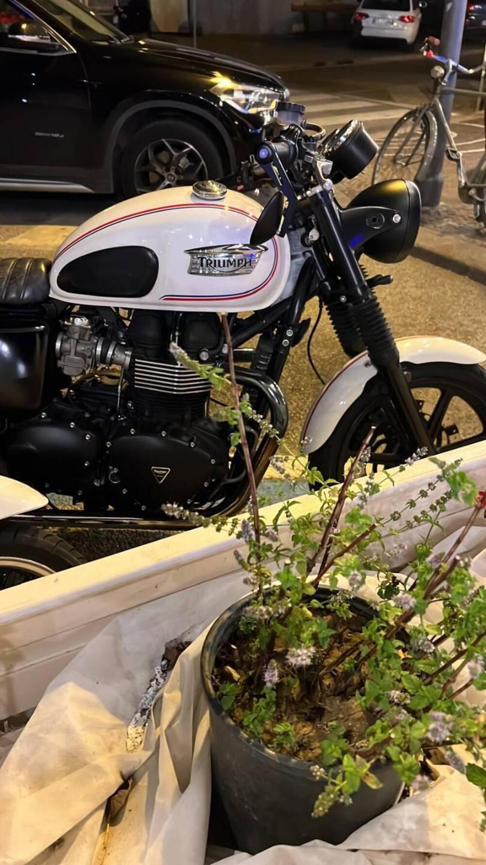 Triumph Bonneville SE (2009 - 13) (3)