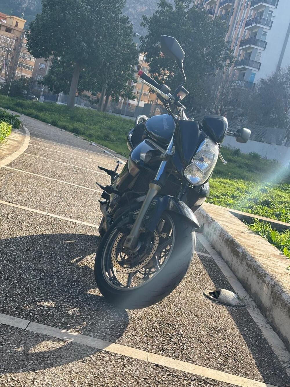 Kawasaki ER-6N (2005 - 08) (2)