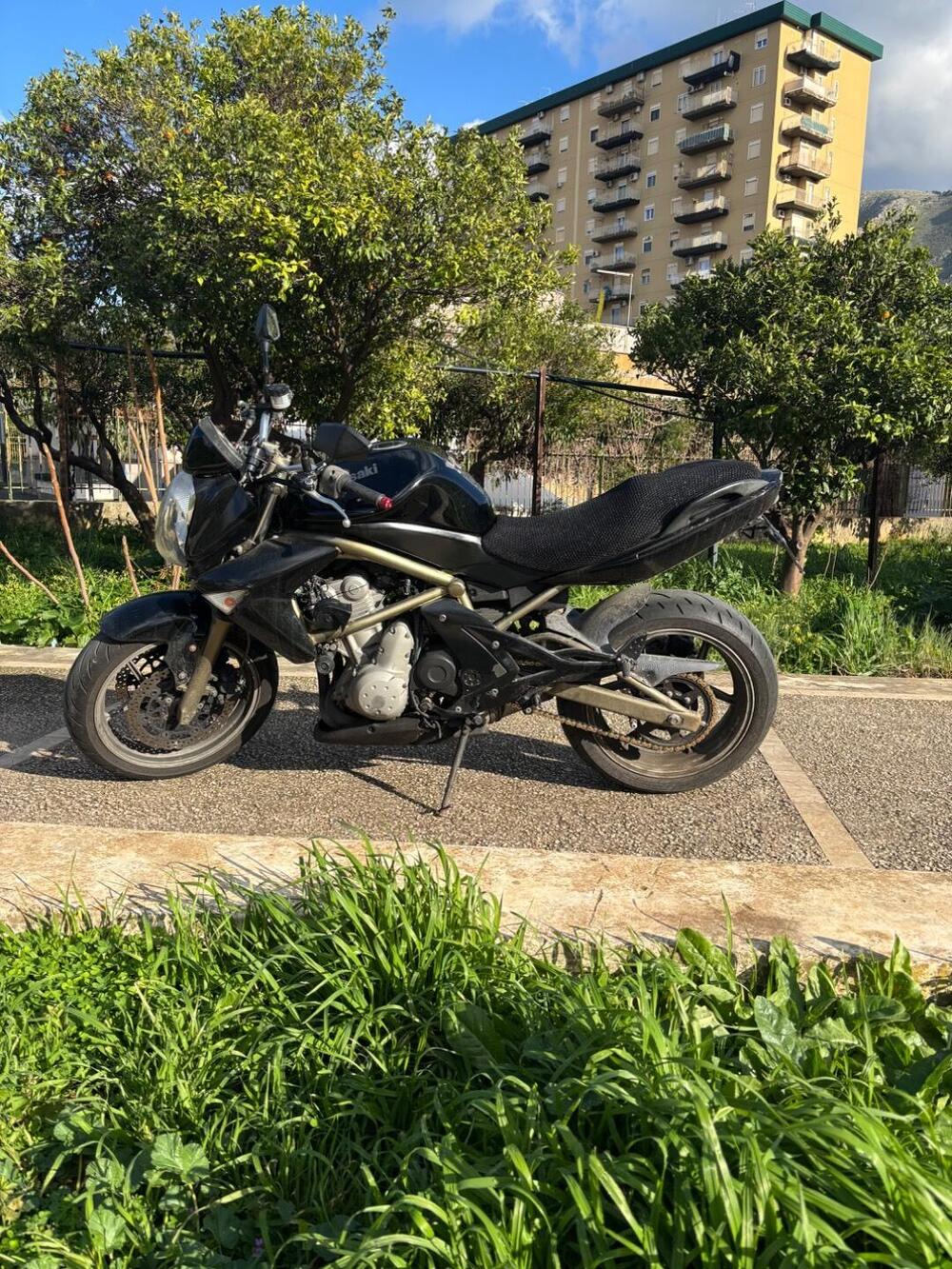 Kawasaki ER-6N (2005 - 08) (3)