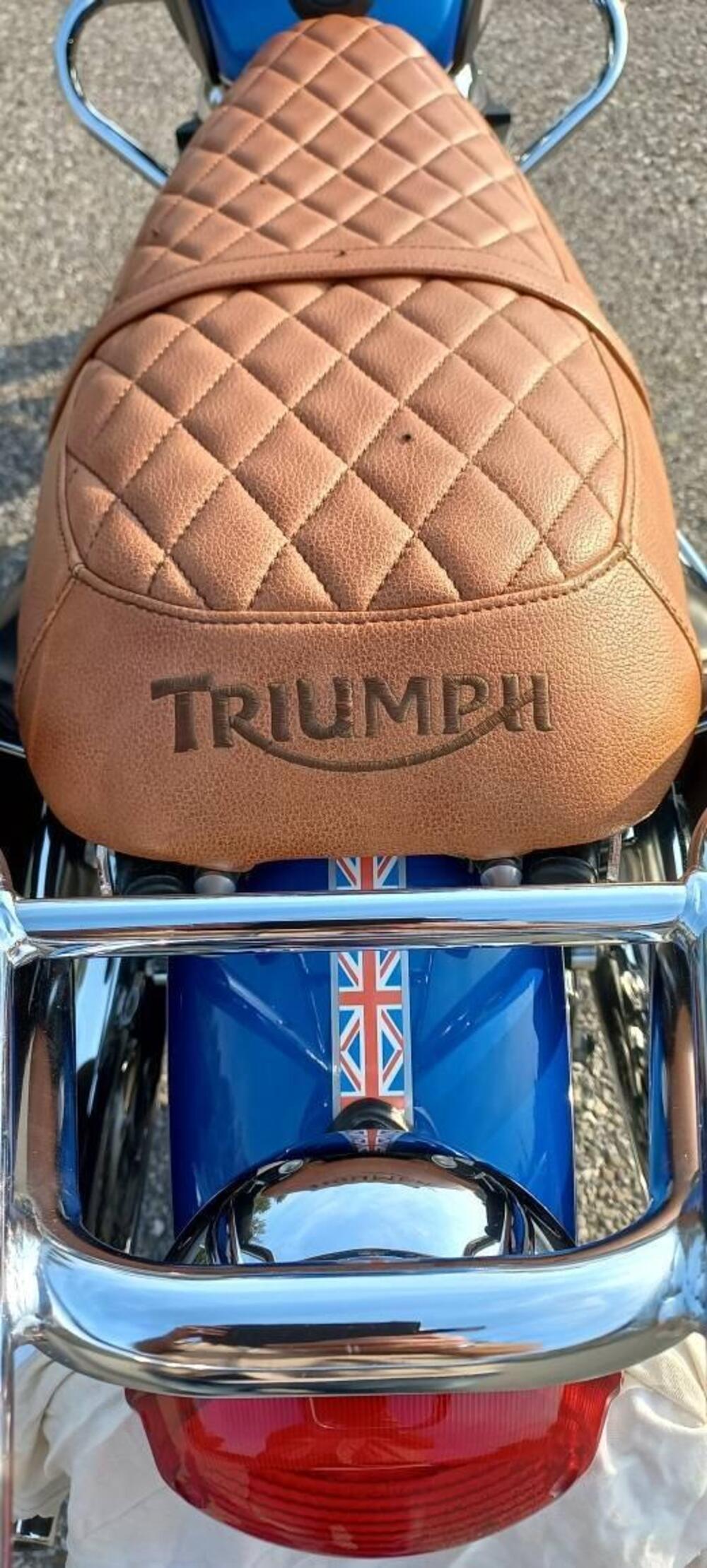 Triumph Bonneville T100 SE (2014) (3)