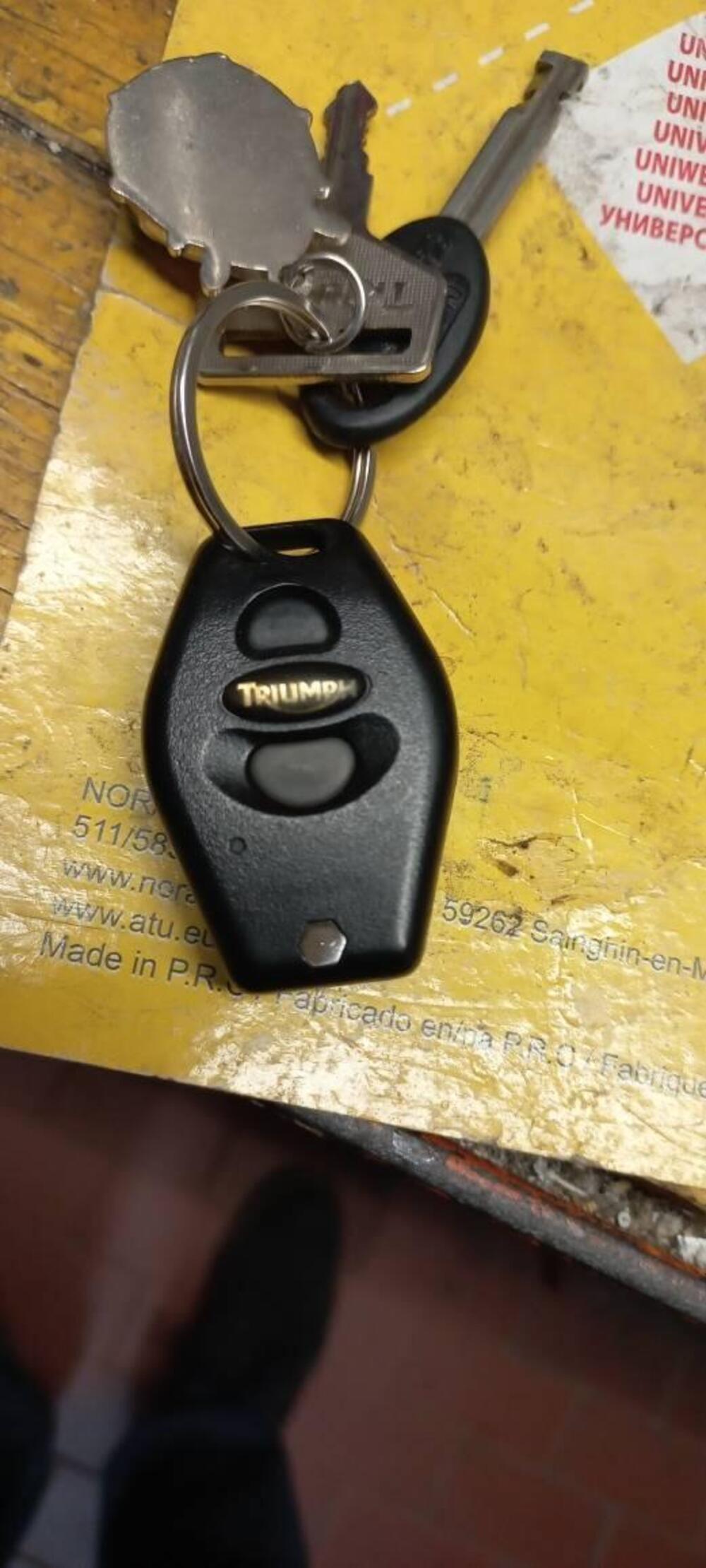 Triumph Bonneville T100 SE (2014) (8)