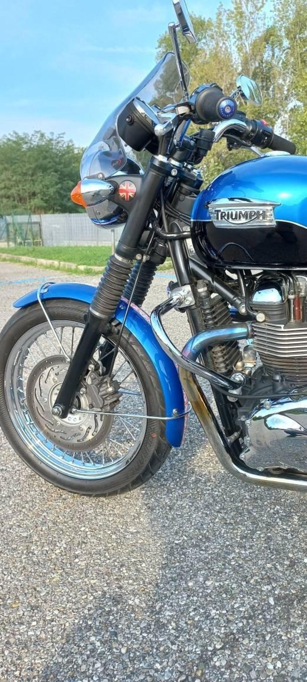 Triumph Bonneville T100 SE (2014) (11)