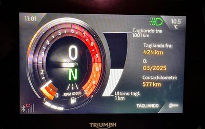 Triumph Tiger 1200 GT Pro (2024 - 26) usata