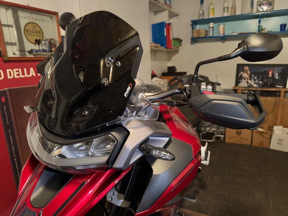 Triumph Tiger 1200 GT Pro (2024 - 26) (5)