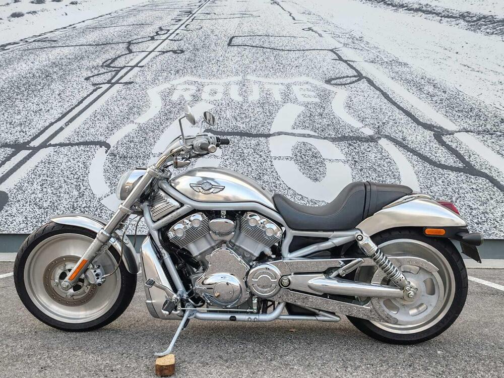 Harley-Davidson 1130 V-Rod (2002 - 05) - VRSCA (2)