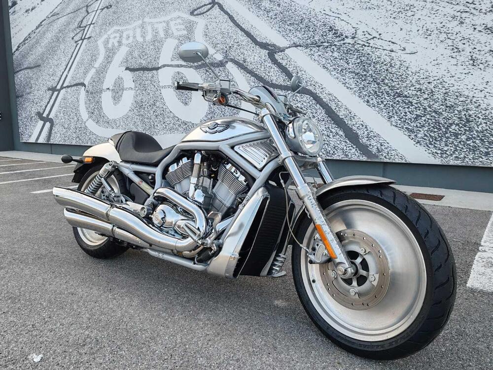 Harley-Davidson 1130 V-Rod (2002 - 05) - VRSCA (3)