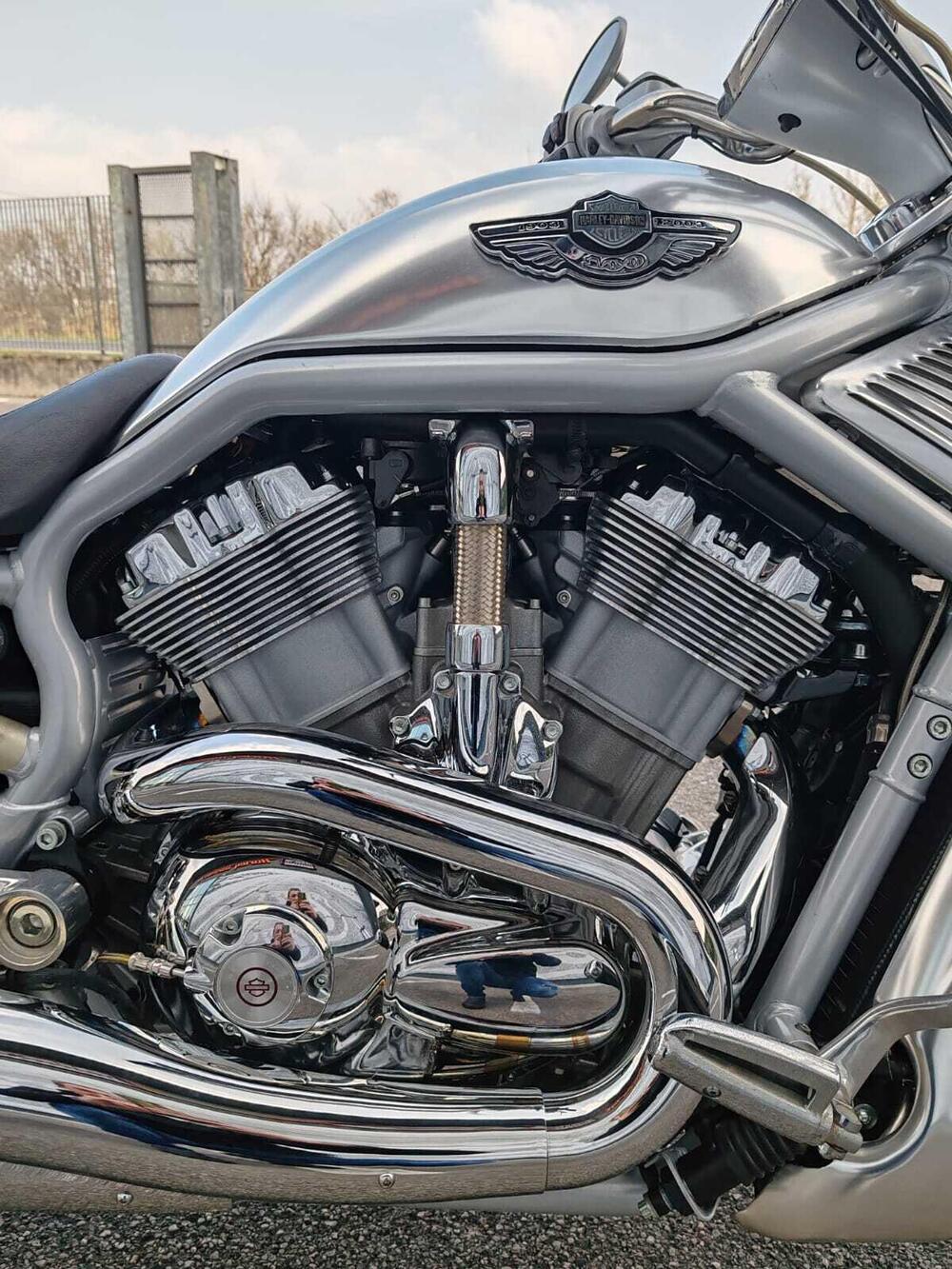 Harley-Davidson 1130 V-Rod (2002 - 05) - VRSCA (4)