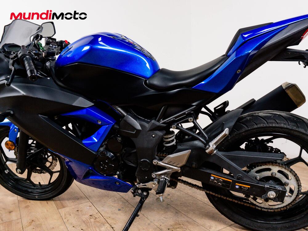 Kawasaki Ninja 300 ABS (2012 - 16) (10)