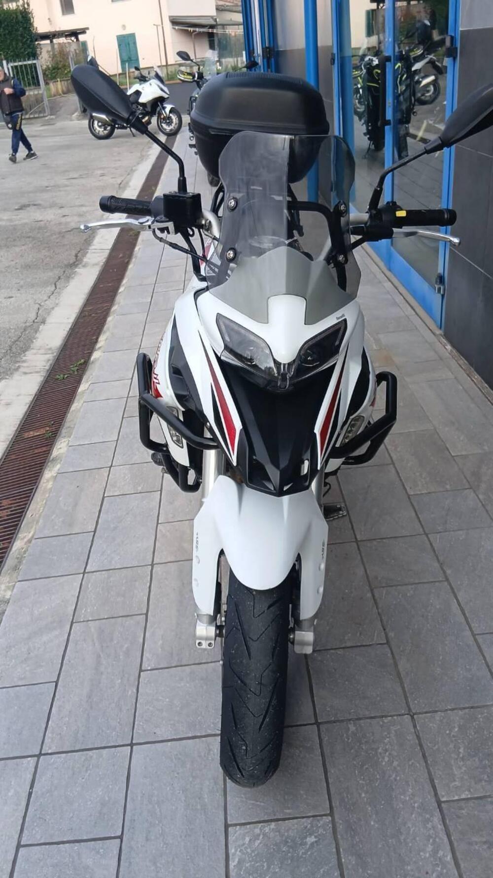 Benelli TRK 251 (2019 - 20) (2)