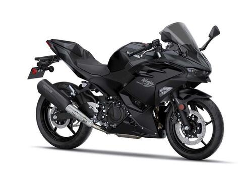 Kawasaki Ninja 500 Performance Remus (2026)