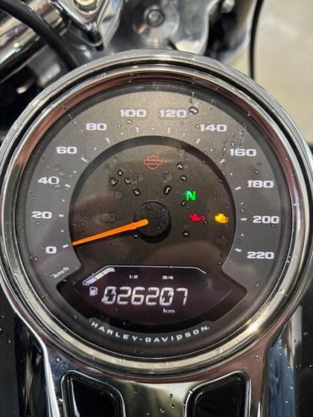 Harley-Davidson Sport Glide (2021 - 25) (13)