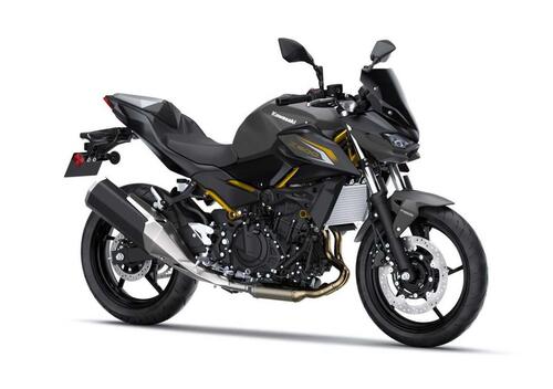 Kawasaki Z 500 Sport (2026)