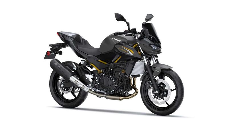 Kawasaki Z 500 Z 500 Performance Remus (2026)