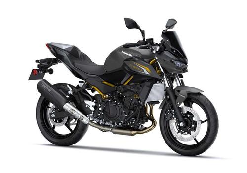 Kawasaki Z 500 Performance Remus (2026)