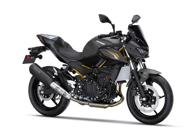 Kawasaki Z 500 Z 500 Performance Remus (2026)