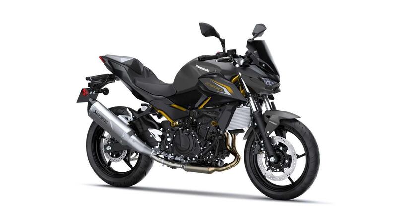Kawasaki Z 500 Z 500 Performance Akrapovic (2026)