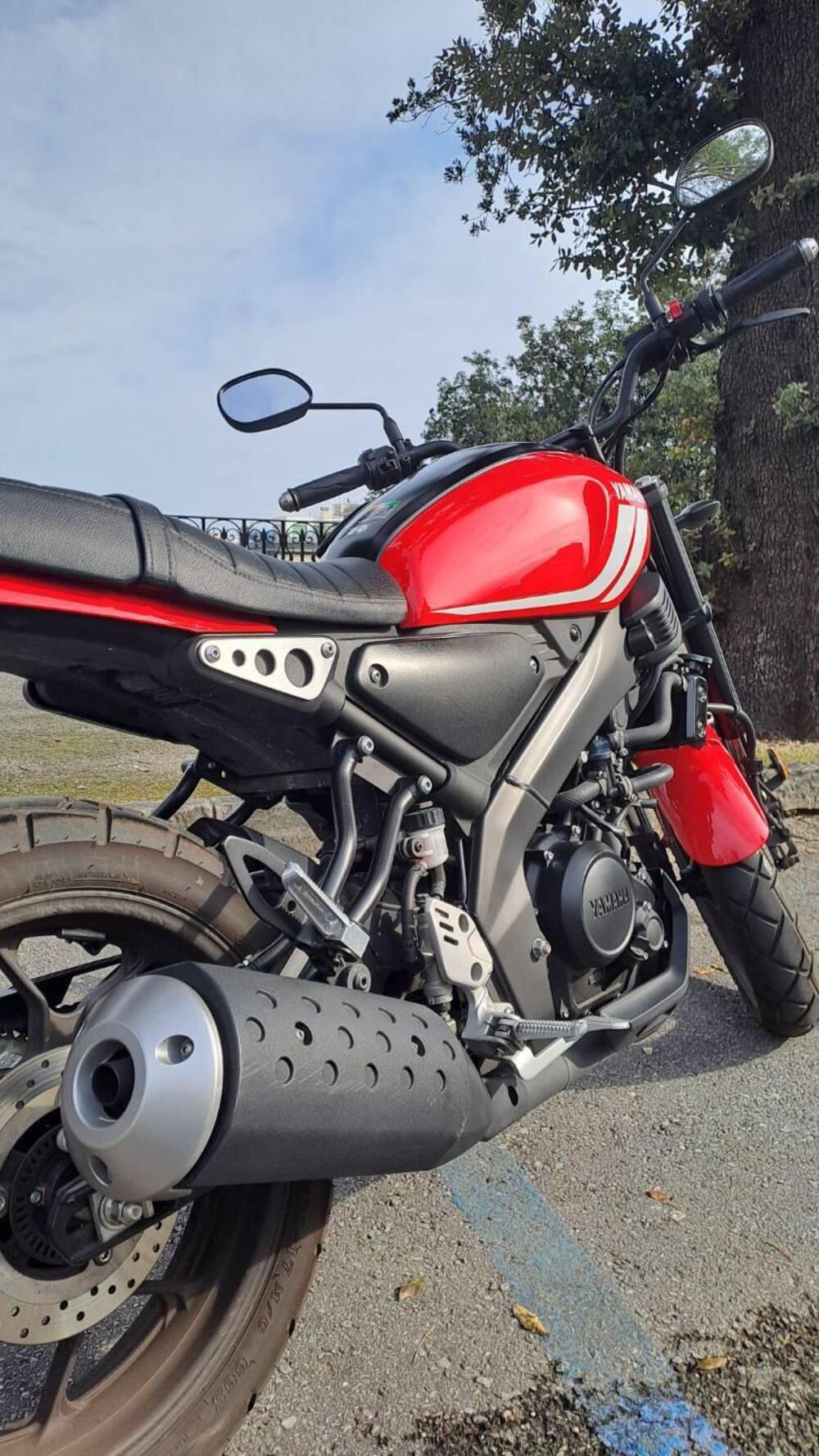 Yamaha XSR 125 (2021 - 24) (2)