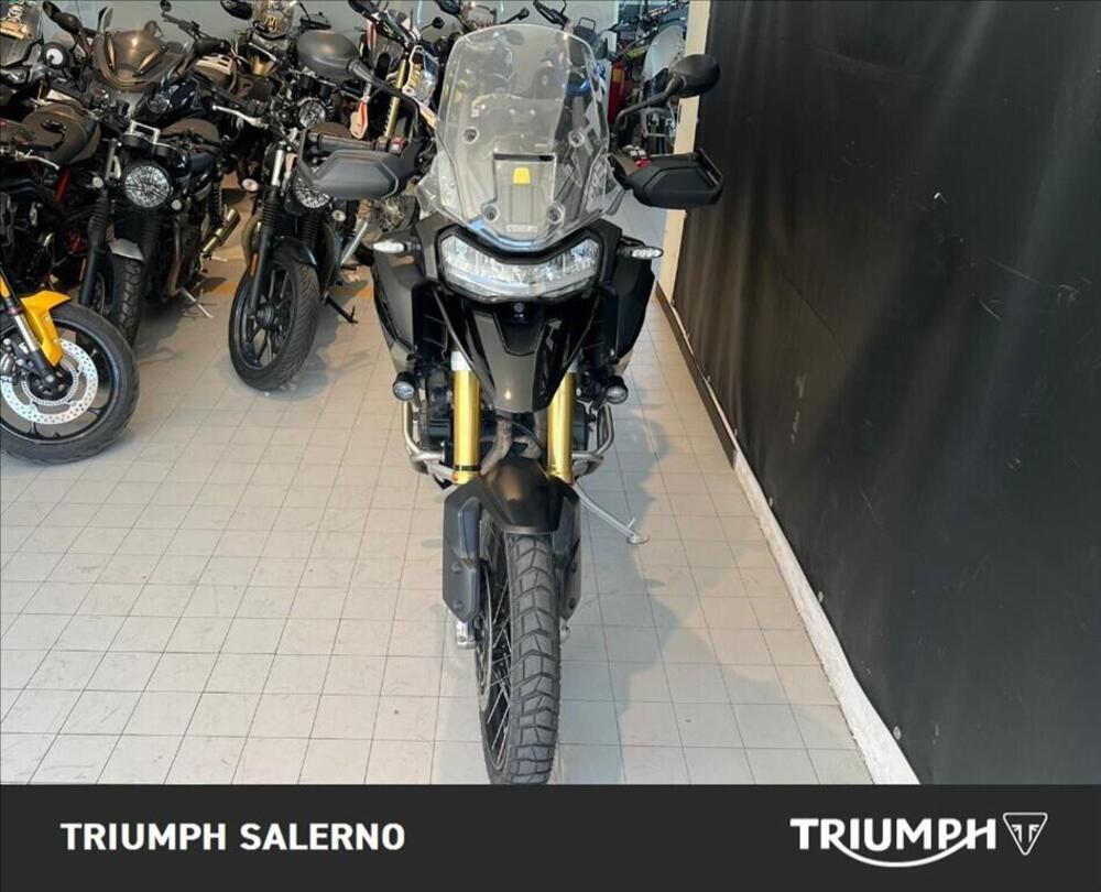Triumph Tiger 1200 Rally Pro (2022 - 23) (3)