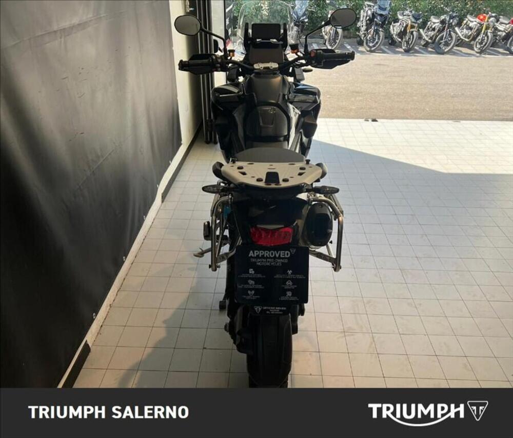 Triumph Tiger 1200 Rally Pro (2022 - 23) (5)