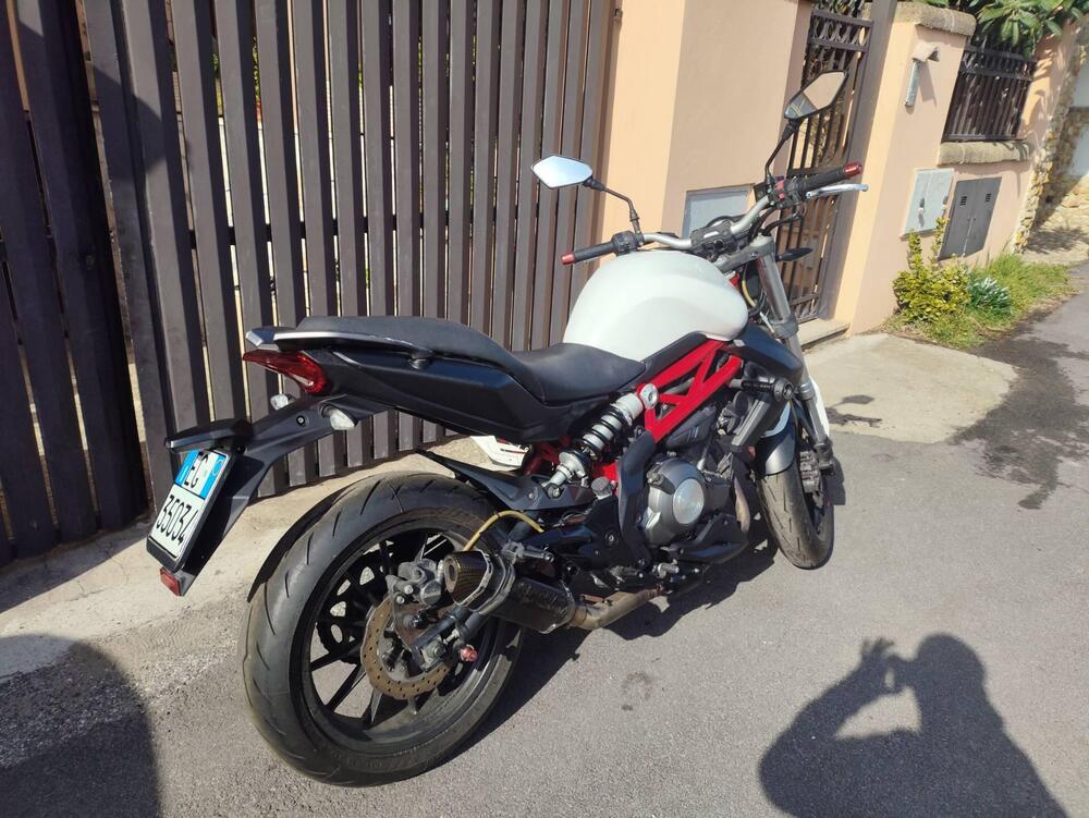 Benelli BN 302 (2014 - 16) (2)
