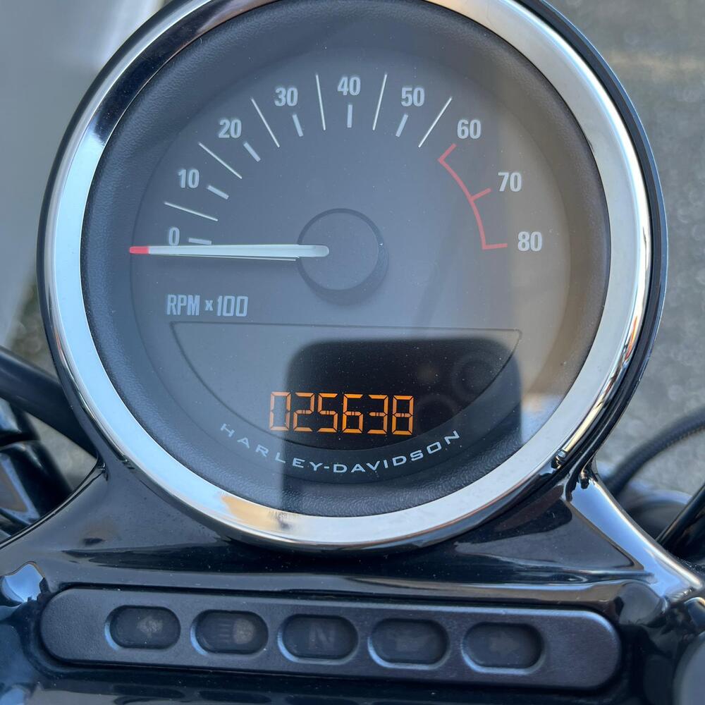 Harley-Davidson 1200 Roadster (2016 - 2017) - XL 1200R (9)