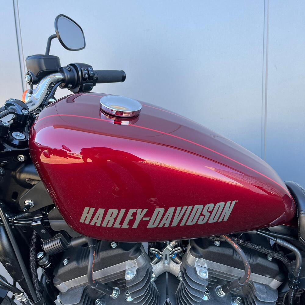 Harley-Davidson 1200 Roadster (2016 - 2017) - XL 1200R (20)