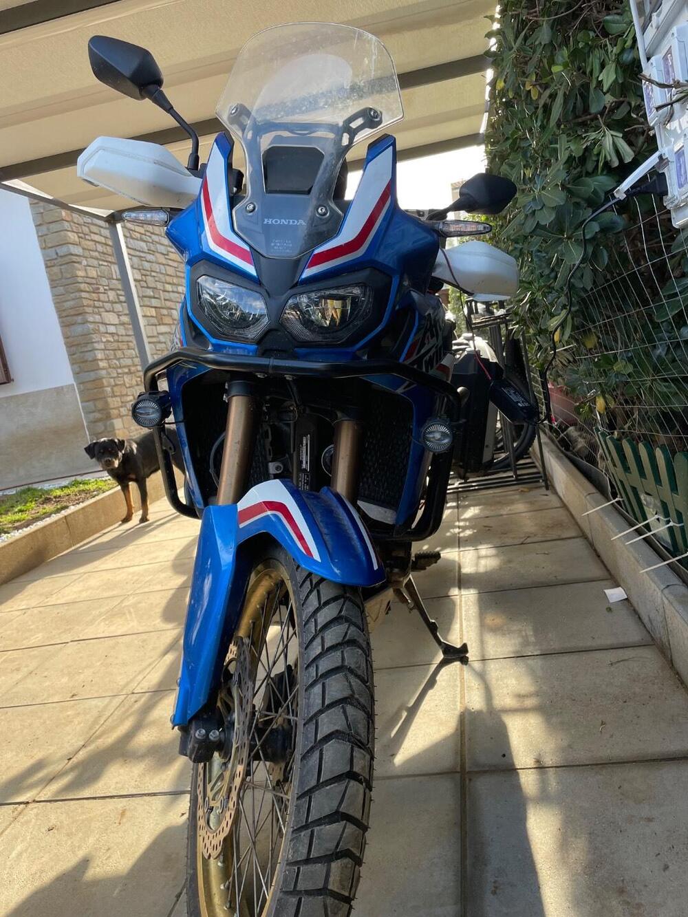Honda Africa Twin CRF 1000L DCT (2018 - 19)