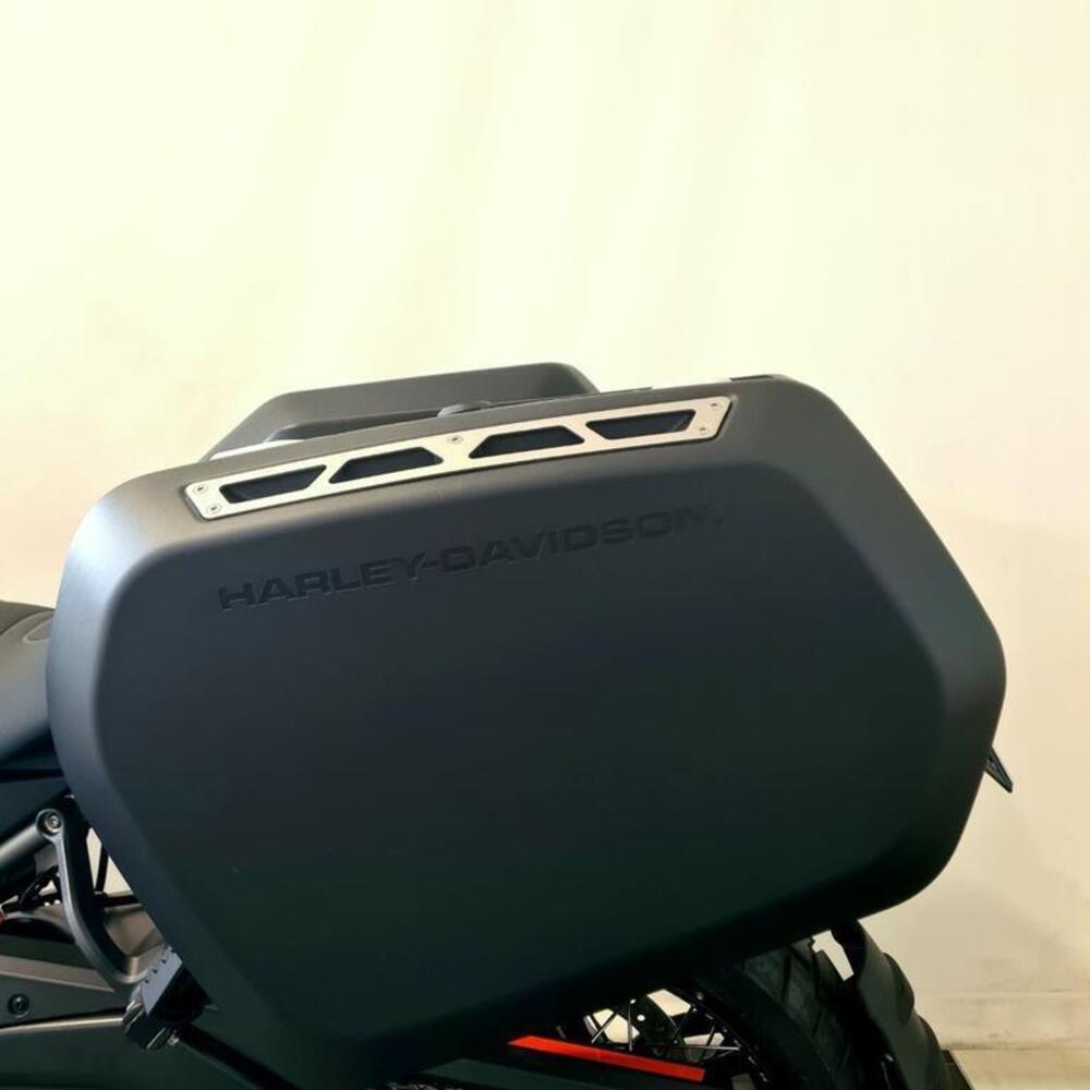 Harley-Davidson Pan America 1250 Special (2020 - 25) (14)